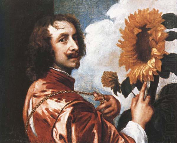 Anthony Van Dyck Self-Portrait with a Sunflower china oil painting image